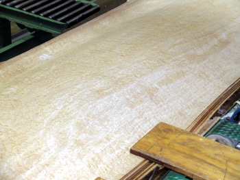 birdseye maple veneer