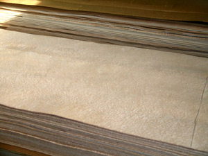 birdseye maple veneer