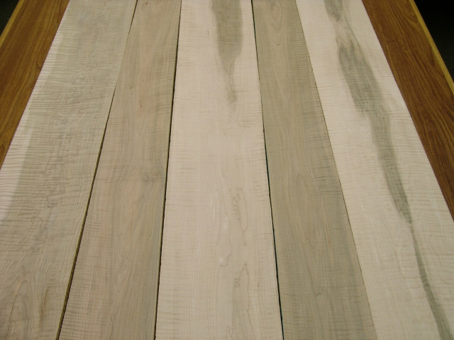 curly maple natural Heavy