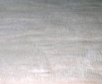 curly maple veneer