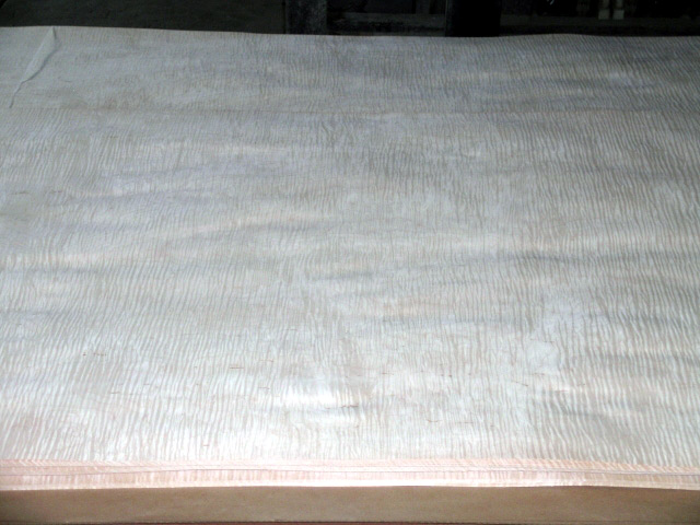 Curly maple veneer