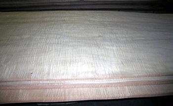 curly maple veneer