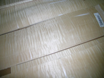 curly maple veneer