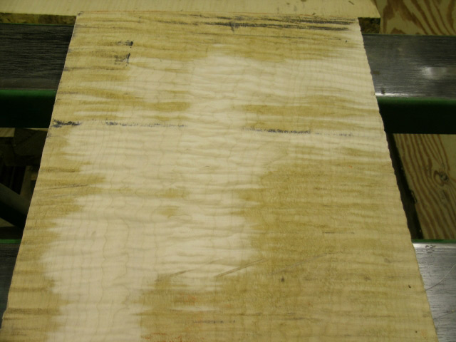 curly maple tonewoods